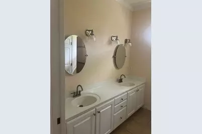 8509 Alexandra Arbor Lane, Tampa, FL 33637 - Photo 7
