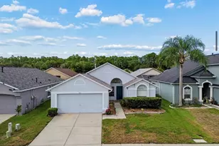 3814 Judson Dr, Land O Lakes, FL 34638 - Photo 45