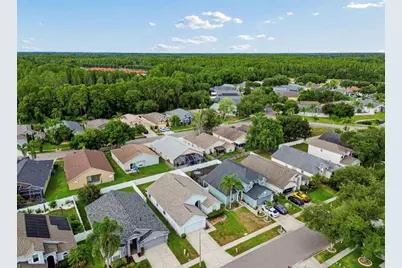 3814 Judson Drive, Land O Lakes, FL 34638 - Photo 49