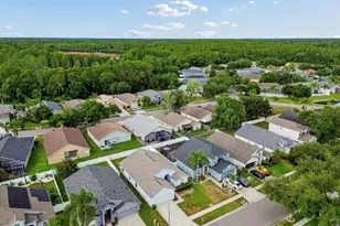 3814 Judson Dr, Land O Lakes, FL 34638 - Photo 49