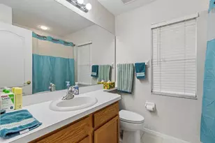 3814 Judson Dr, Land O Lakes, FL 34638 - Photo 29