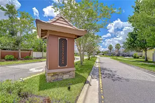3746 Olde Lanark Dr, Land O Lakes, FL 34638 - Photo 35