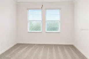 9094 Gallantree Pl, Land O Lakes, FL 34637 - Photo 13