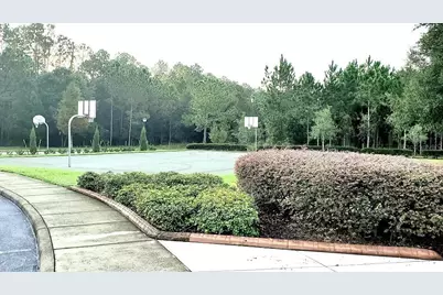 34421 Blue Ash Court, Wesley Chapel, FL 33545 - Photo 23
