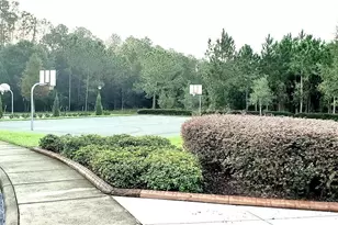 34421 Blue Ash Ct, Wesley Chapel, FL 33545 - Photo 23