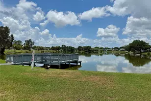 10009 Regal Woods Ln, Tampa, FL 33624 - Photo 49
