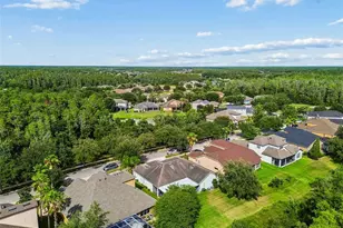 19236 Climbing Aster Dr, Tampa, FL 33647 - Photo 69