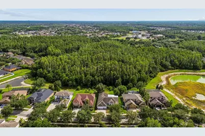 19236 Climbing Aster Drive, Tampa, FL 33647 - Photo 67