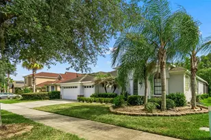 19236 Climbing Aster Dr, Tampa, FL 33647 - Photo 73