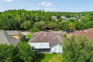 19236 Climbing Aster Dr, Tampa, FL 33647 - Photo 71