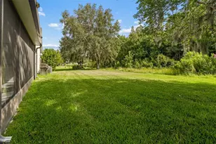 19236 Climbing Aster Dr, Tampa, FL 33647 - Photo 57