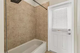 19236 Climbing Aster Dr, Tampa, FL 33647 - Photo 39