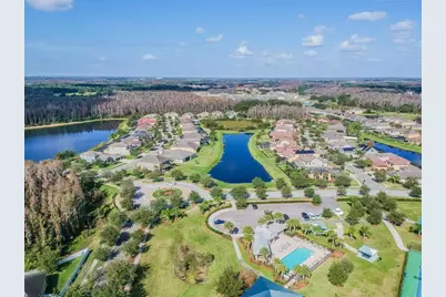 19236 Climbing Aster Drive, Tampa, FL 33647 - Photo 85