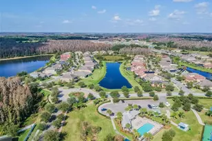 19236 Climbing Aster Dr, Tampa, FL 33647 - Photo 85