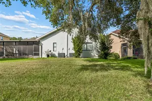 19236 Climbing Aster Dr, Tampa, FL 33647 - Photo 55