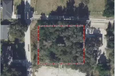 Tba SE 145th Place, Summerfield, FL 34491 - Photo 3