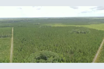 Us Hwy 441 N, Lake City, FL 32055 - Photo 23