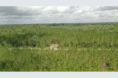 Us Hwy 441 N, Lake City, FL 32055 - Photo 13