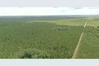 Us Hwy 441 N, Lake City, FL 32055 - Photo 27