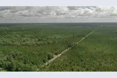 Us Hwy 441 N, Lake City, FL 32055 - Photo 53