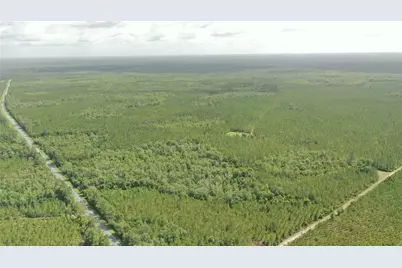 Us Hwy 441 N, Lake City, FL 32055 - Photo 43