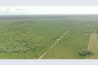 Us Hwy 441 N, Lake City, FL 32055 - Photo 65