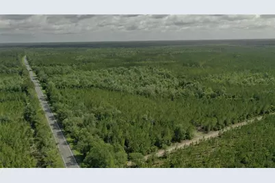 Us Hwy 441 N, Lake City, FL 32055 - Photo 49
