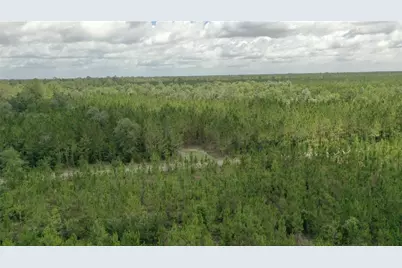 Us Hwy 441 N, Lake City, FL 32055 - Photo 11