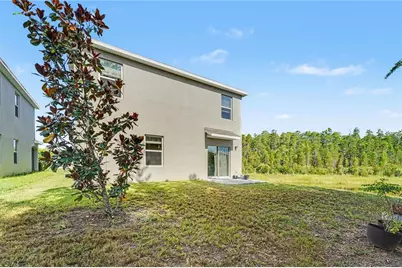 3446 Suncoast Plains Drive, Odessa, FL 33556 - Photo 15
