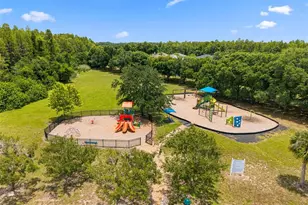 1120 Maza Pl, Trinity, FL 34655 - Photo 63