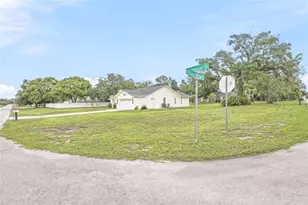 2462 Stephanie Dr, Spring Hill, FL 34608 - Photo 39