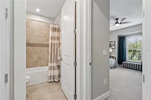 29534 Ginnetto Dr, Wesley Chapel, FL 33543 - Photo 61