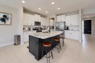 172 Mangrove Manor Dr, Apollo Beach, FL 33572 - Photo 3
