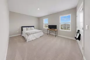 172 Mangrove Manor Dr, Apollo Beach, FL 33572 - Photo 21
