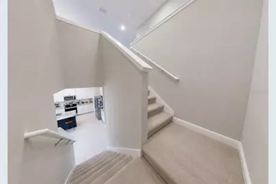 172 Mangrove Manor Drive, Apollo Beach, FL 33572 - Photo 19