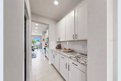 172 Mangrove Manor Drive, Apollo Beach, FL 33572 - Photo 9
