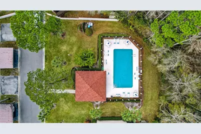 3409 Hill Moor Drive, Palm Harbor, FL 34685 - Photo 5