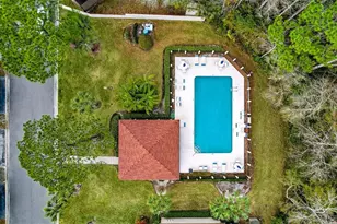 3409 Hillmoor Dr, Palm Harbor, FL 34685 - Photo 5