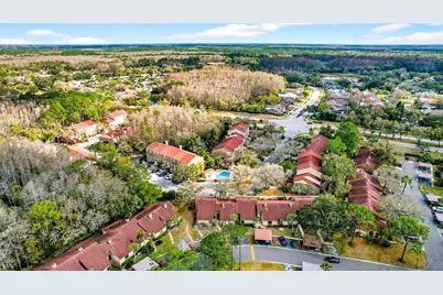 3409 Hill Moor Drive, Palm Harbor, FL 34685 - Photo 17