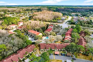 3409 Hillmoor Dr, Palm Harbor, FL 34685 - Photo 17
