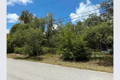 10051 Waddell Street, New Port Richey, FL 34654 - Photo 5