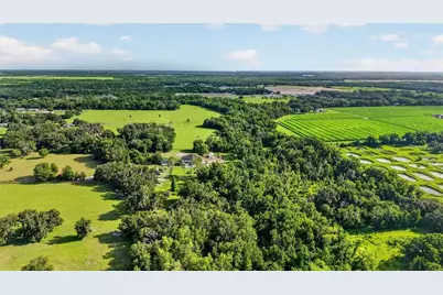 8922 Pritcher Road, Lithia, FL 33547 - Photo 57