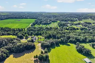8922 Pritcher Rd, Lithia, FL 33547 - Photo 69