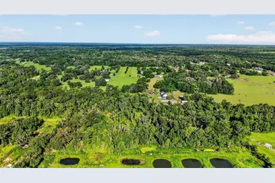 8922 Pritcher Road, Lithia, FL 33547 - Photo 73