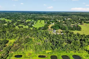 8922 Pritcher Rd, Lithia, FL 33547 - Photo 73
