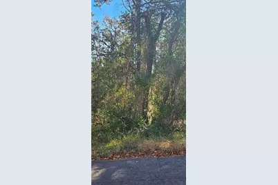 609 N Brighton Road, Lecanto, FL 34461 - Photo 1
