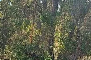 609 N Brighton Rd, Lecanto, FL 34461 - Photo 1
