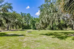 11518 Hammock Oaks Ct, Lithia, FL 33547 - Photo 73