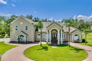 11518 Hammock Oaks Ct, Lithia, FL 33547 - Photo 1