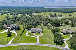 11518 Hammock Oaks Ct, Lithia, FL 33547 - Photo 77